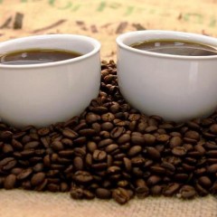 ‘Nitelikli Kahve’yi tanıma kılavuzu